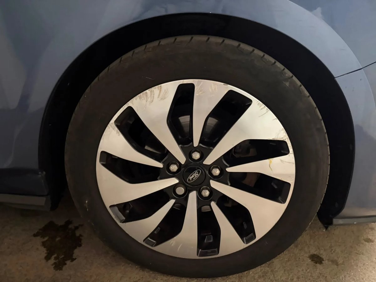 2019 Ford Focus